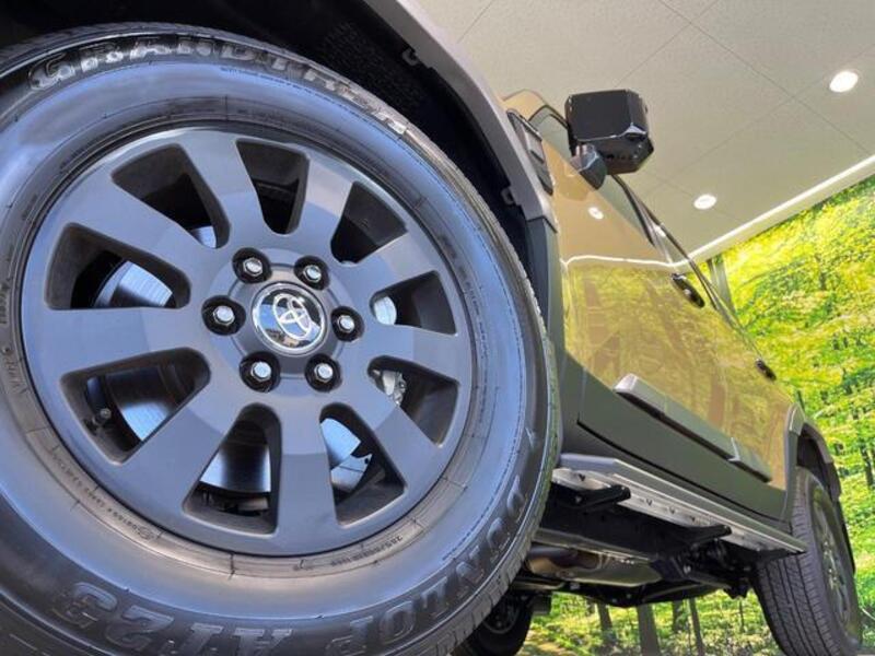 LAND CRUISER 250