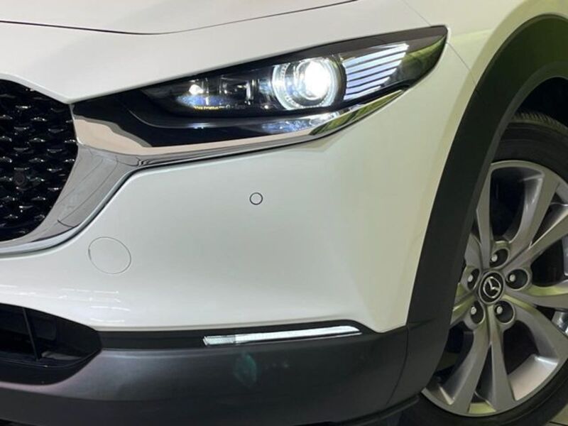CX-30