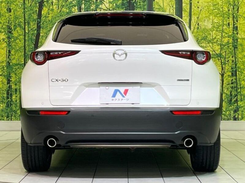 CX-30