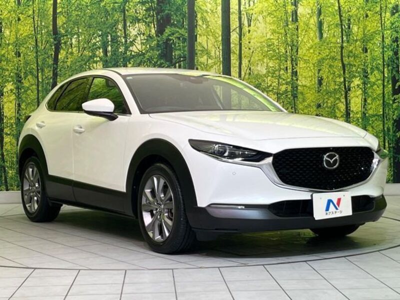 CX-30