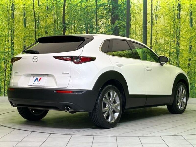 CX-30