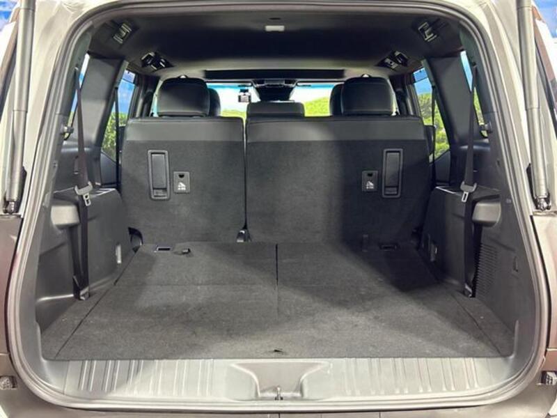 LAND CRUISER 250