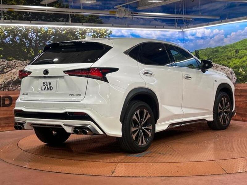 NX