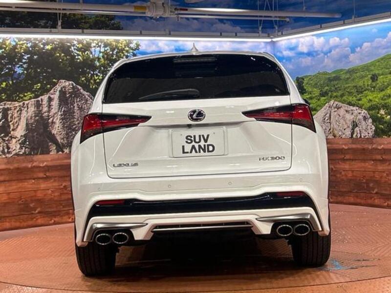 NX