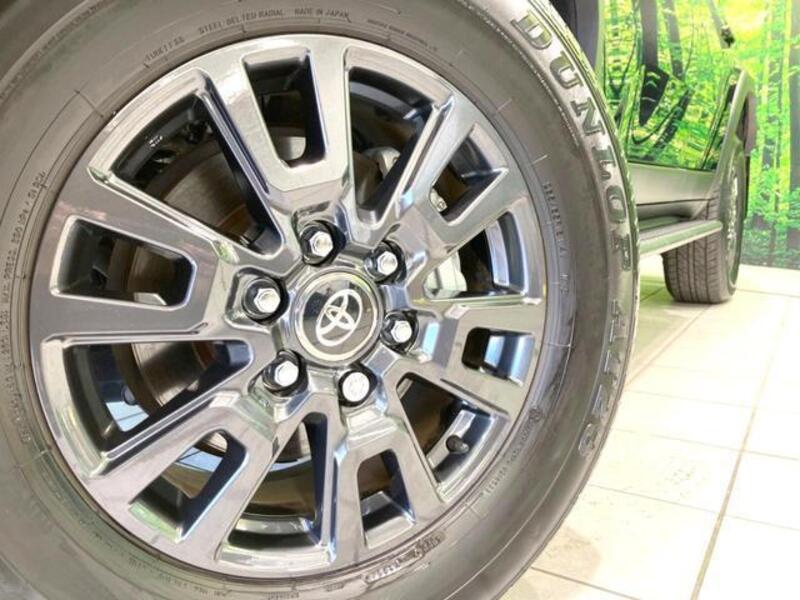 LAND CRUISER 250