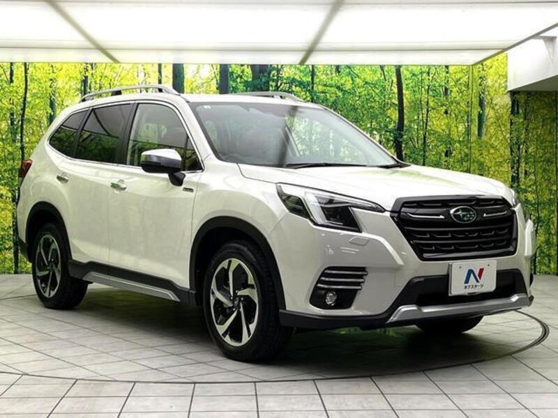 FORESTER