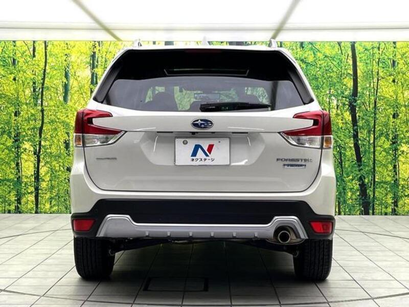 FORESTER