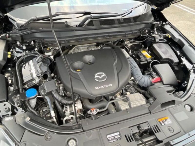 CX-8