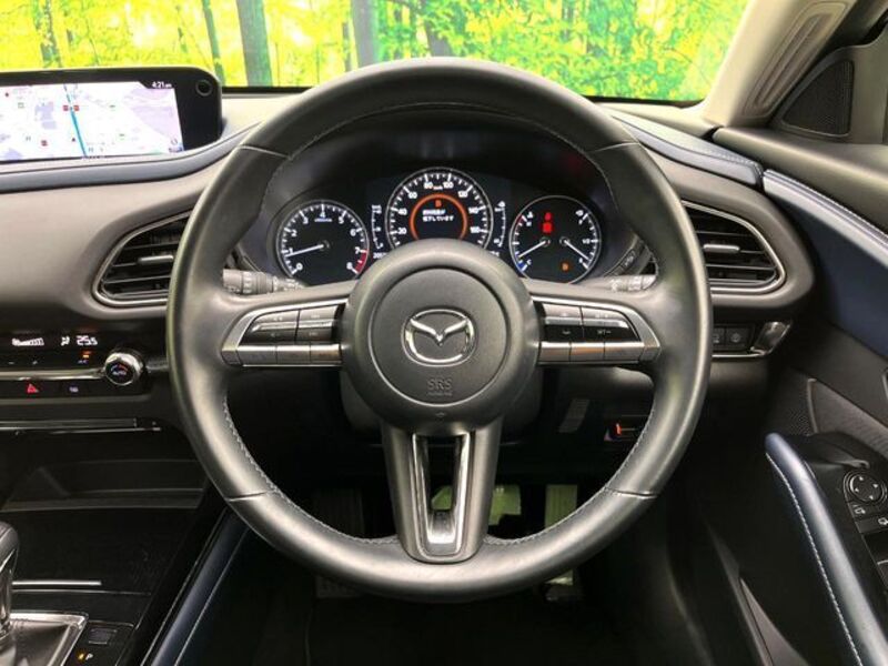 CX-30