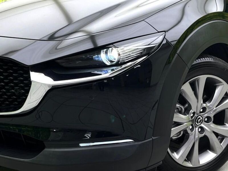 CX-30