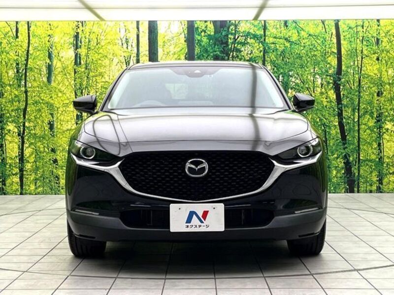 CX-30