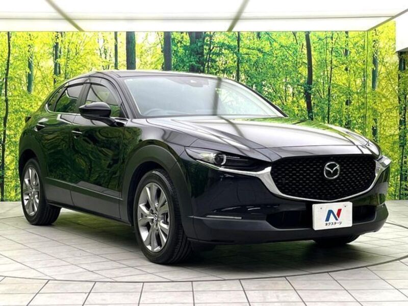 CX-30