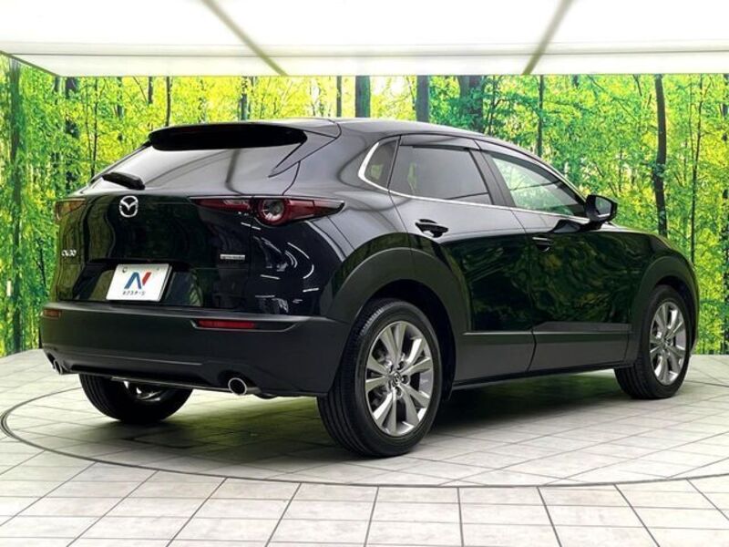 CX-30