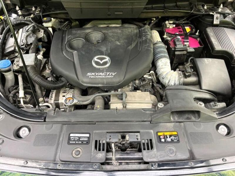 CX-8