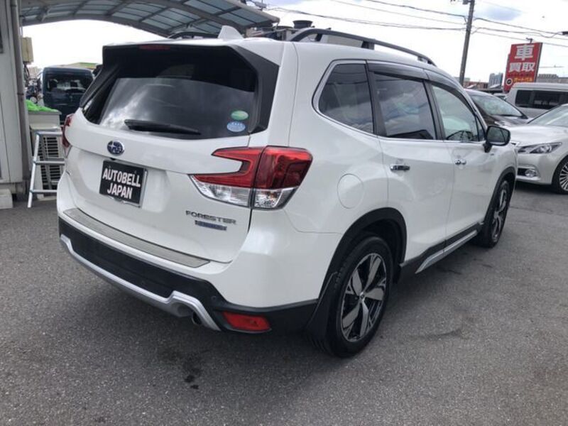 FORESTER