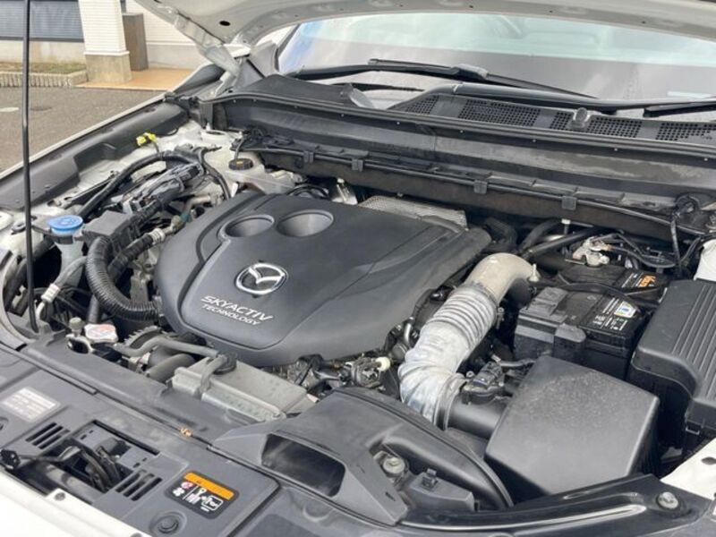 CX-8
