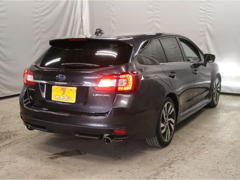 LEVORG