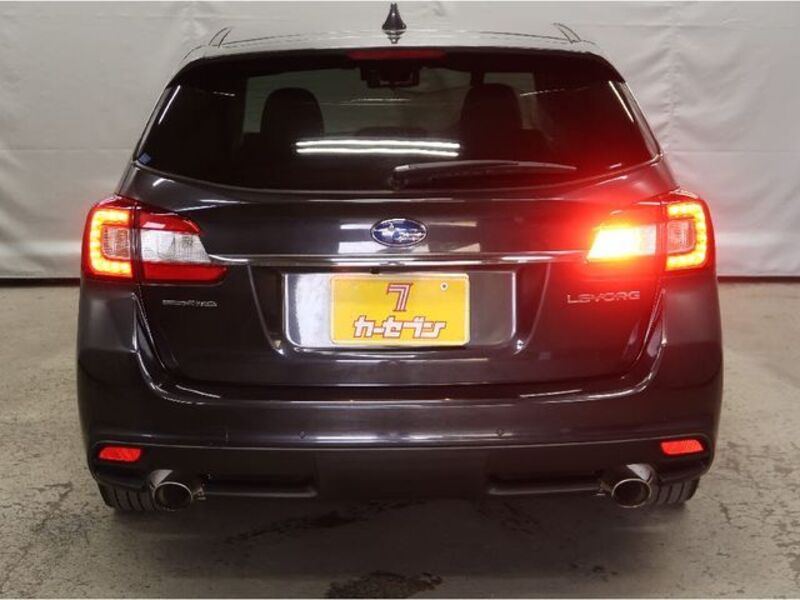 LEVORG
