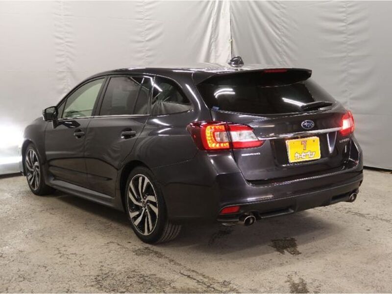 LEVORG