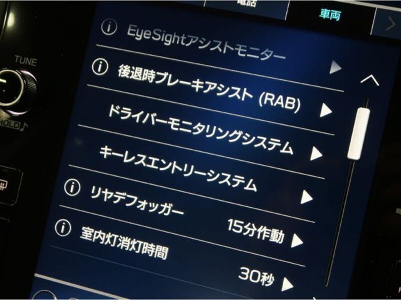 LEVORG