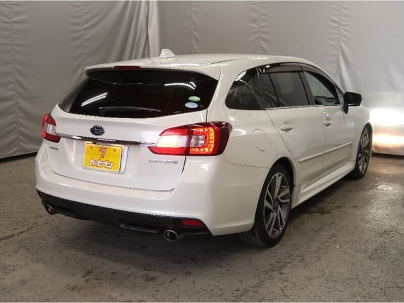 LEVORG