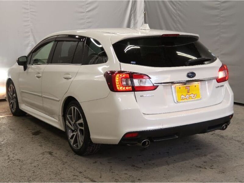 LEVORG