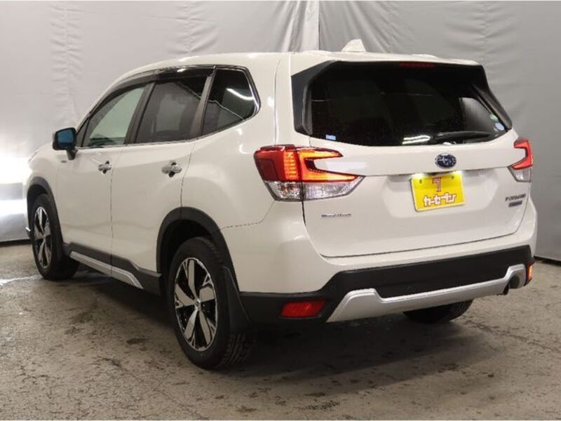 FORESTER