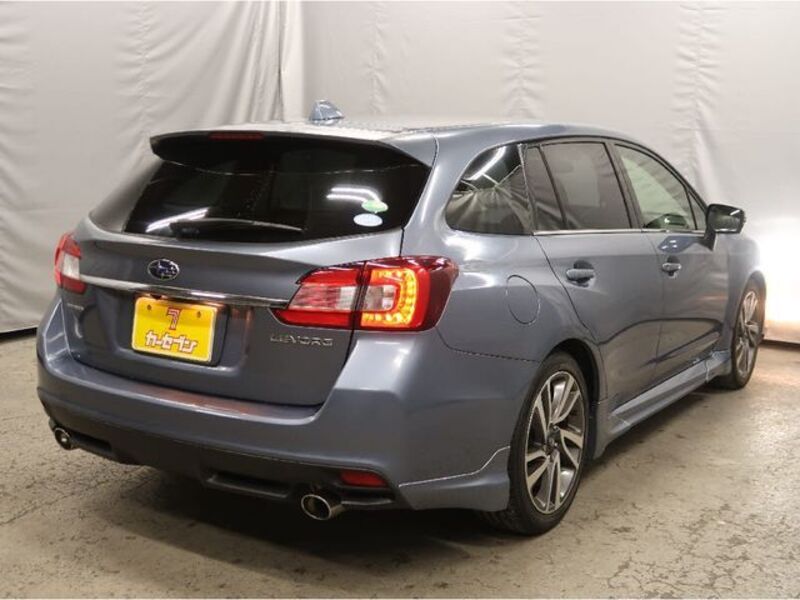 LEVORG