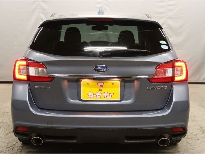 LEVORG