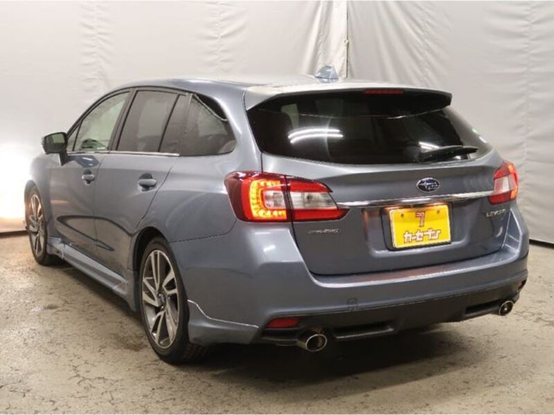 LEVORG