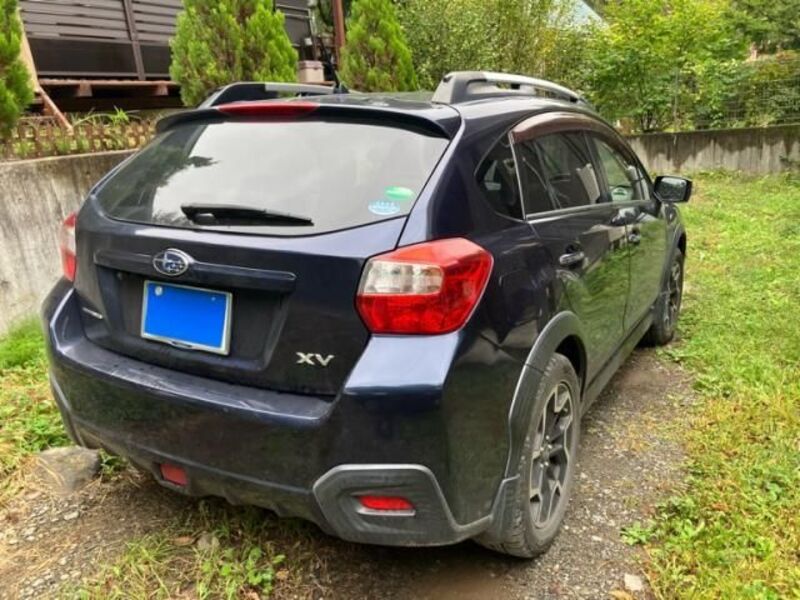 XV