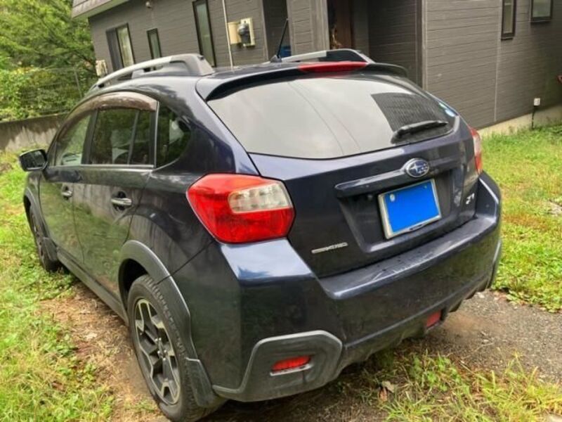 XV