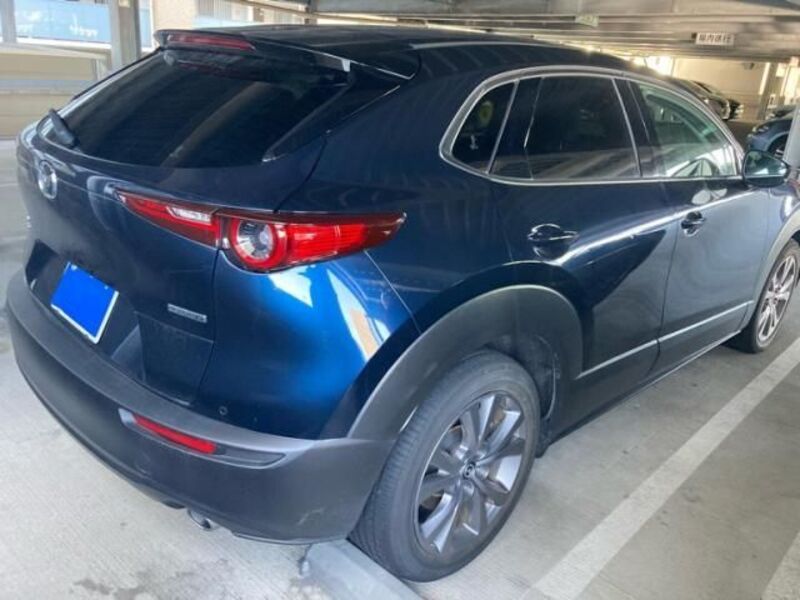 CX-30