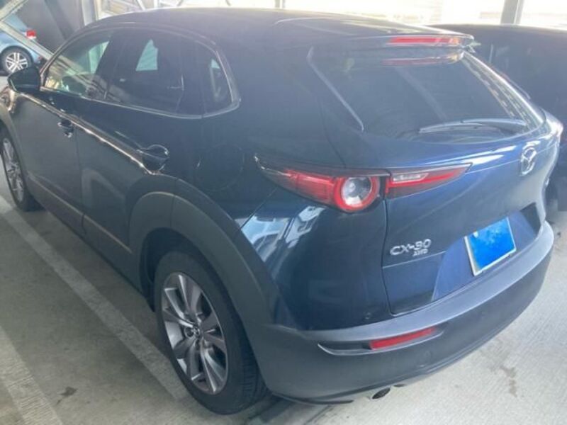 CX-30