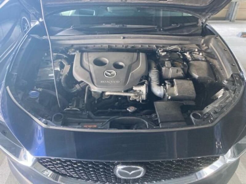 CX-30