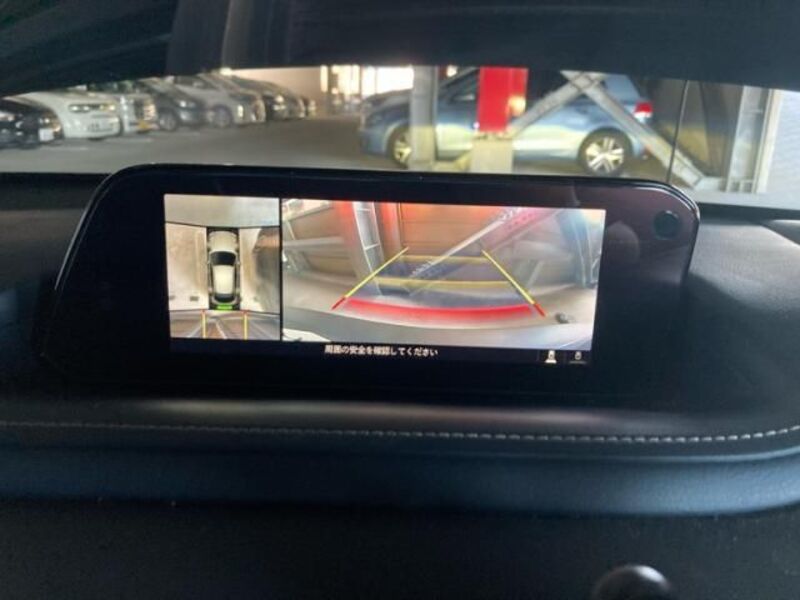 CX-30