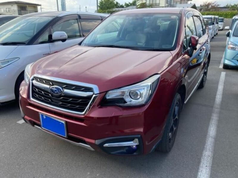 FORESTER