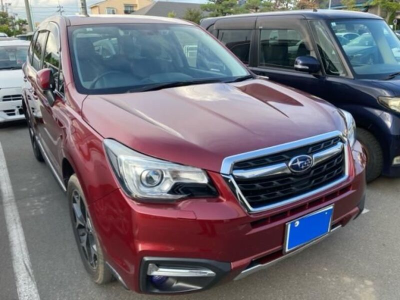 FORESTER