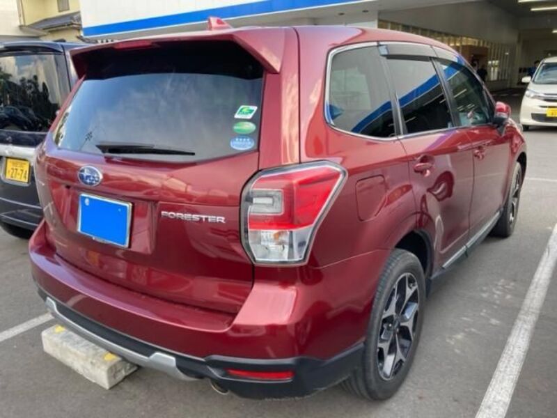 FORESTER