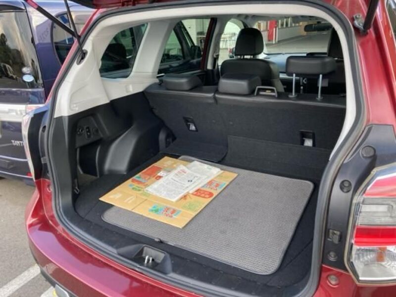 FORESTER