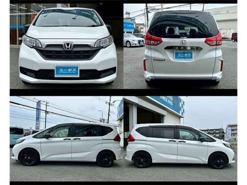 FREED+