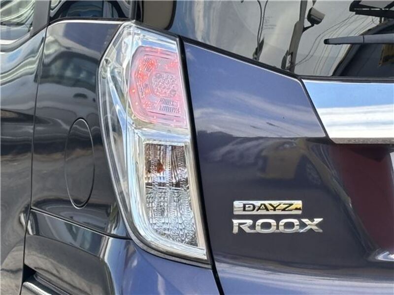 DAYZ ROOX