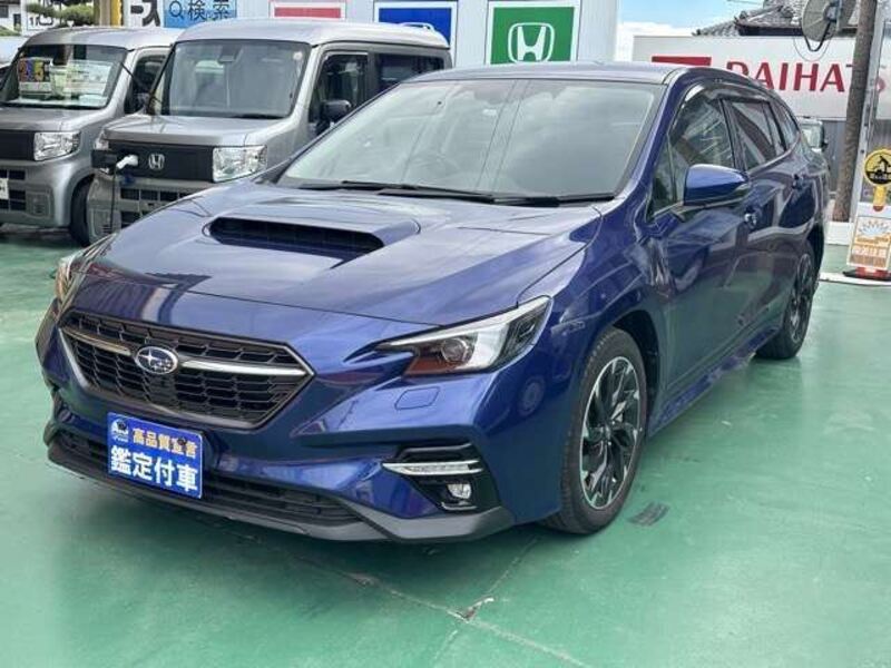 LEVORG-0