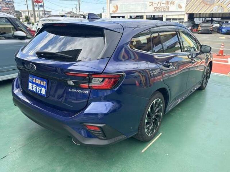 LEVORG