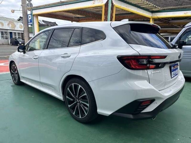 LEVORG