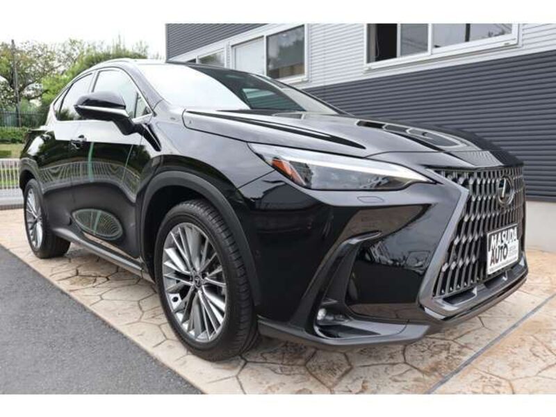 NX