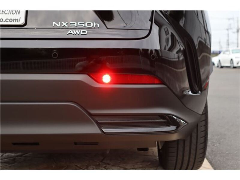 NX