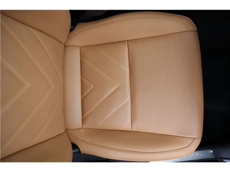 NX