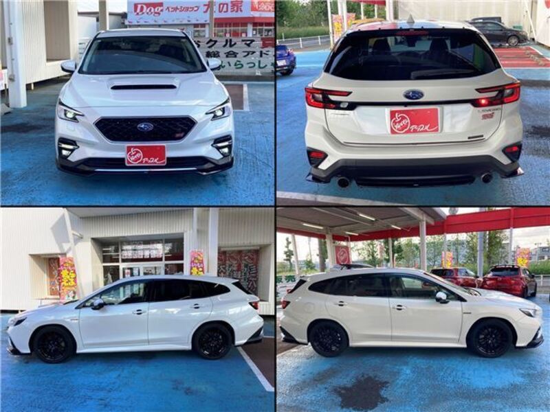 LEVORG