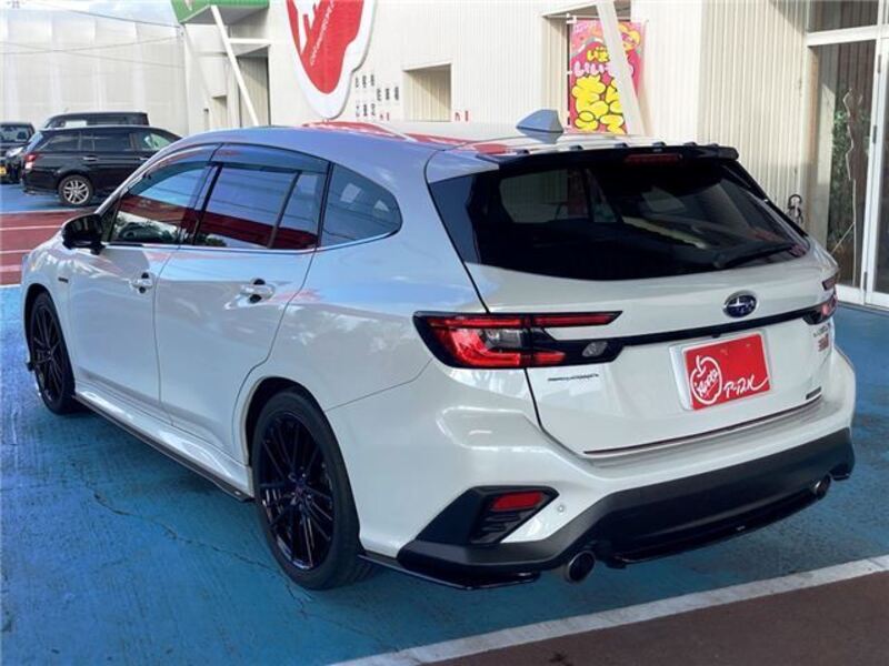 LEVORG